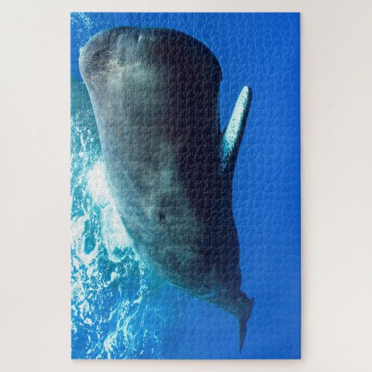 Sperm Whale Legpuzzel (Verticaal)