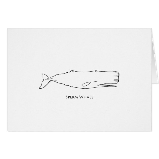 Sperm Whale (lijnkunst) (Voorkant Horizontaal)