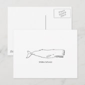 Sperm Whale (lijnkunst) Briefkaart (Voorkant / Achterkant)