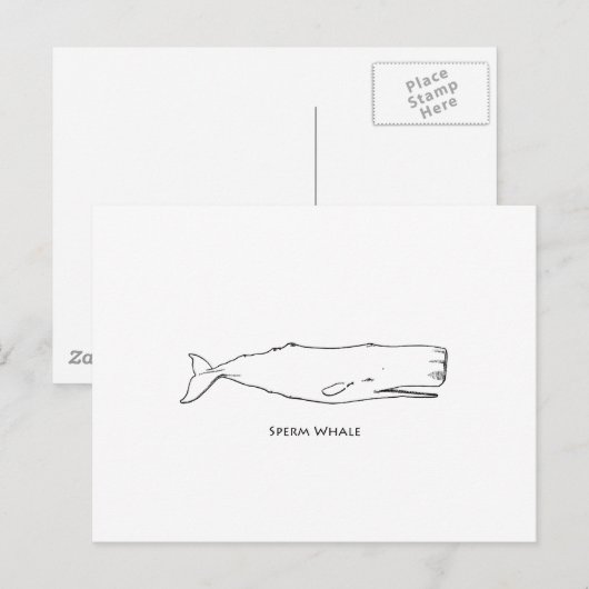 Sperm Whale (lijnkunst) Briefkaart (Voorkant / Achterkant)