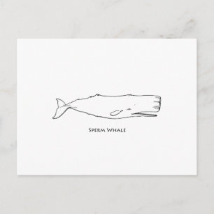 Sperm Whale (lijnkunst) Briefkaart