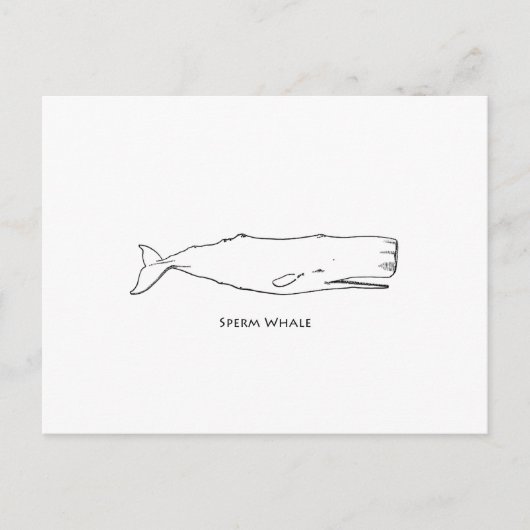 Sperm Whale (lijnkunst) Briefkaart (Voorkant)