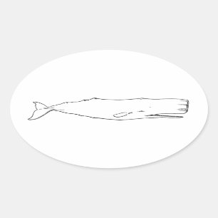 Sperm Whale (lijnkunst) Ovale Sticker