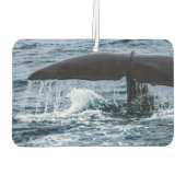 Sperm Whale Luchtverfrisser (Achterkant)