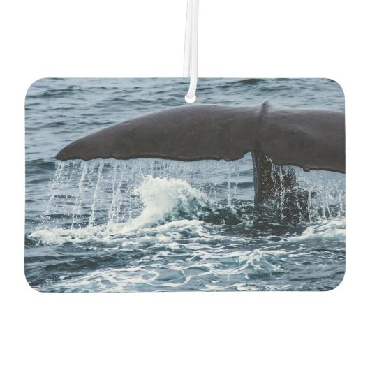 Sperm Whale Luchtverfrisser (Achterkant)
