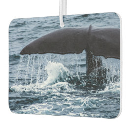 Sperm Whale Luchtverfrisser