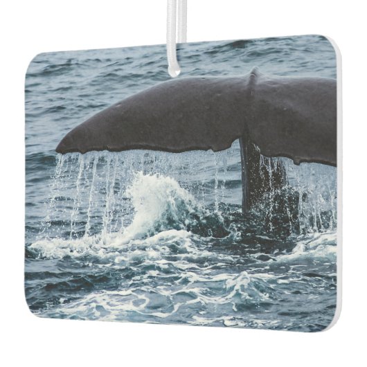 Sperm Whale Luchtverfrisser (Links)