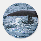 Sperm Whale Magneet (Voorkant)