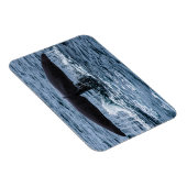 Sperm Whale Magneet (Rechterzijde)