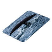 Sperm Whale Magneet (Linkerzijde)