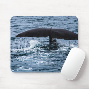 Sperm Whale Muismat