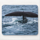Sperm Whale Muismat (Voorkant)