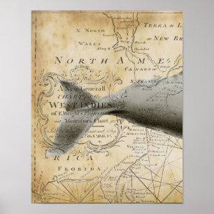 Sperm Whale  Nautical Map Deel1 Poster