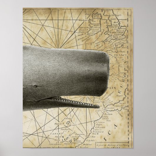 Sperm Whale Nautical Map Deel3 Poster (Voorkant)