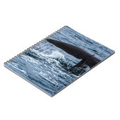 Sperm Whale Notitieboek (Linkerzijde)