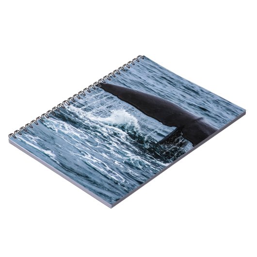 Sperm Whale Notitieboek (Linkerzijde)