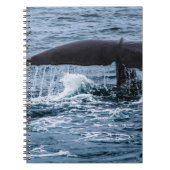 Sperm Whale Notitieboek (Voorkant)