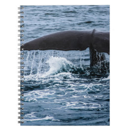 Sperm Whale Notitieboek