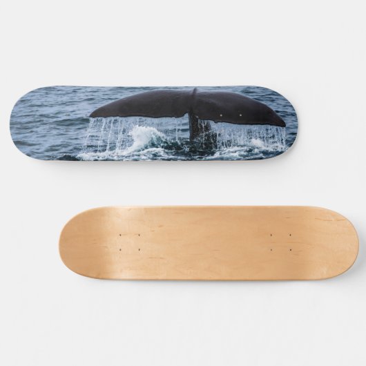 Sperm Whale Persoonlijk Skateboard (Horizontaal)