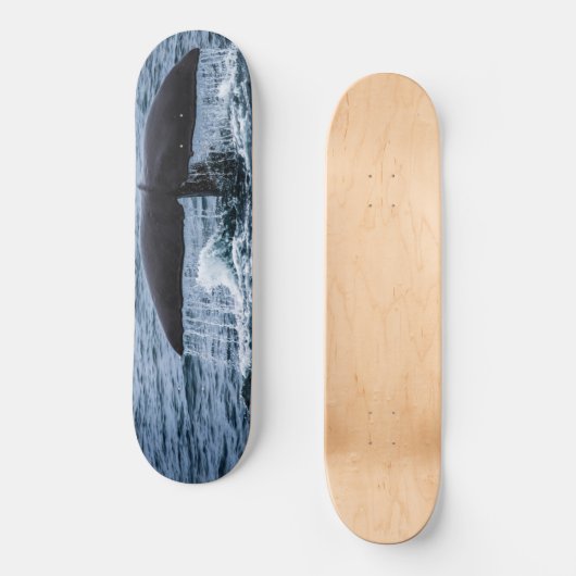 Sperm Whale Persoonlijk Skateboard (Voorkant)