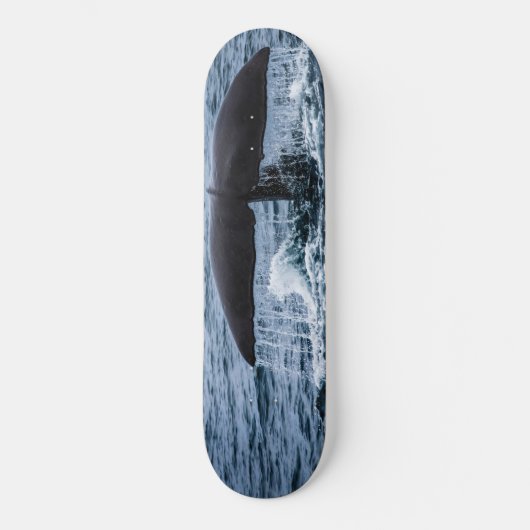 Sperm Whale Persoonlijk Skateboard (Voorkant)