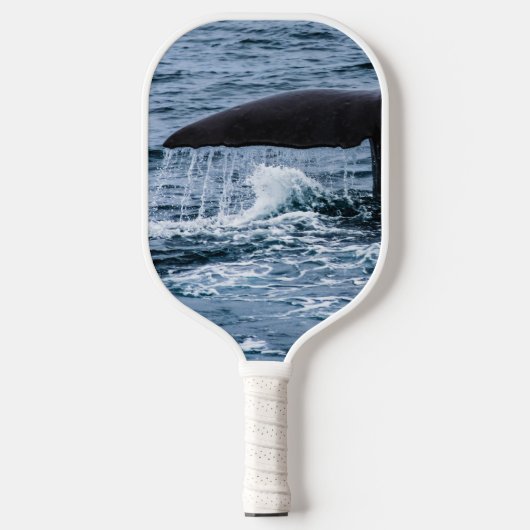 Sperm Whale Pickleball Paddle (Voorkant)