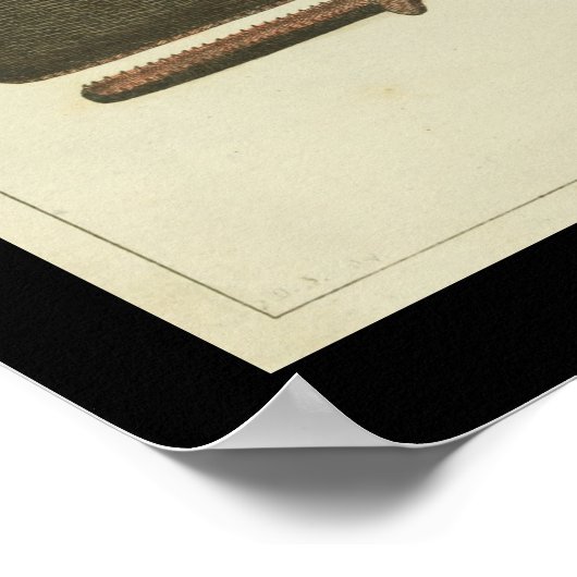  Sperm Whale Print (Hoek)