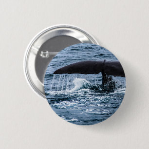 Sperm Whale Ronde Button 5,7 Cm