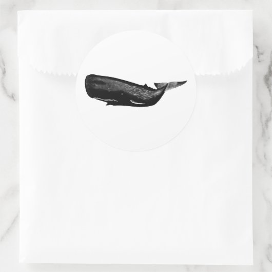 SPERM WHALE RONDE STICKER (Tas)
