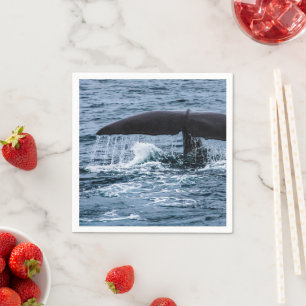 Sperm Whale Servet
