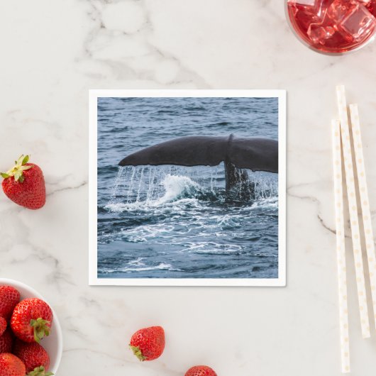 Sperm Whale Servet (Insitu)