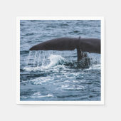 Sperm Whale Servet (Voorkant)