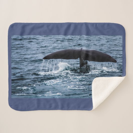 Sperm Whale Sherpa Deken (Voorkant (horizontaal))