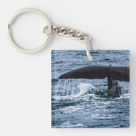 Sperm Whale Sleutelhanger (Voorkant)
