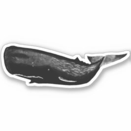 SPERM WHALE STICKER