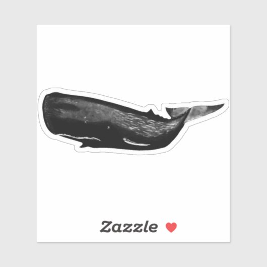 SPERM WHALE STICKER (Vel)