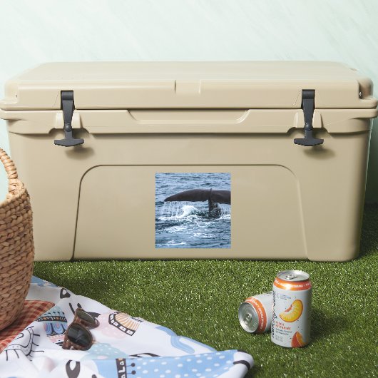 Sperm Whale Sticker (Koeler)