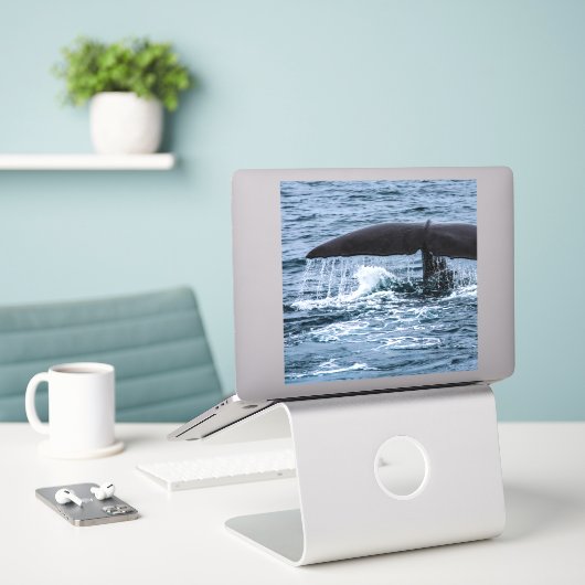 Sperm Whale Sticker (Laptop op bureau)