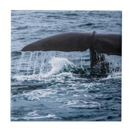 Sperm Whale Tegeltje