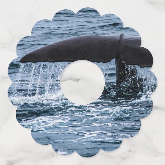 Sperm Whale Wijnglaslabel (Achterkant)