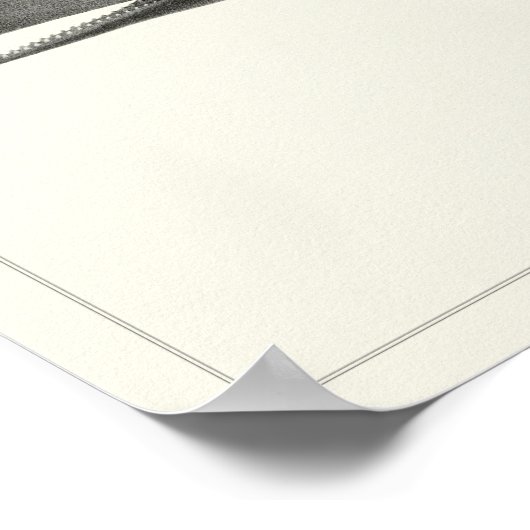 Spermawalvis + Poster (Hoek)