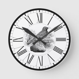 Sperwer Britse Vogel Illustratie Ronde Klok