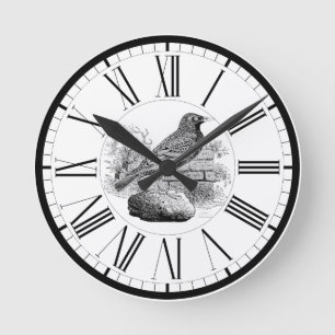 Sperwer Britse Vogel Illustratie Ronde Klok