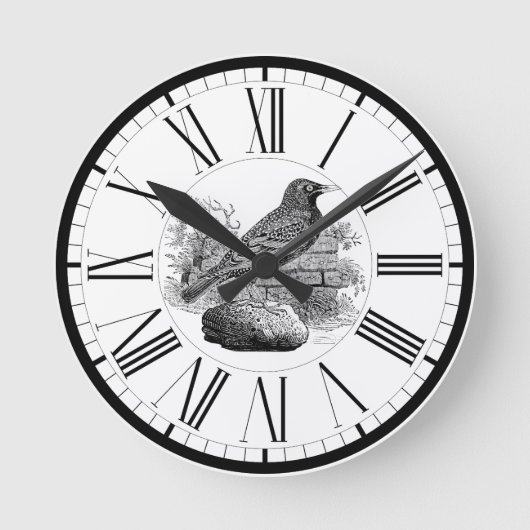 Sperwer Britse Vogel Illustratie Ronde Klok (Voorkant)