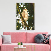 Sperwer  canvas afdruk (Insitu (Woonkamer))