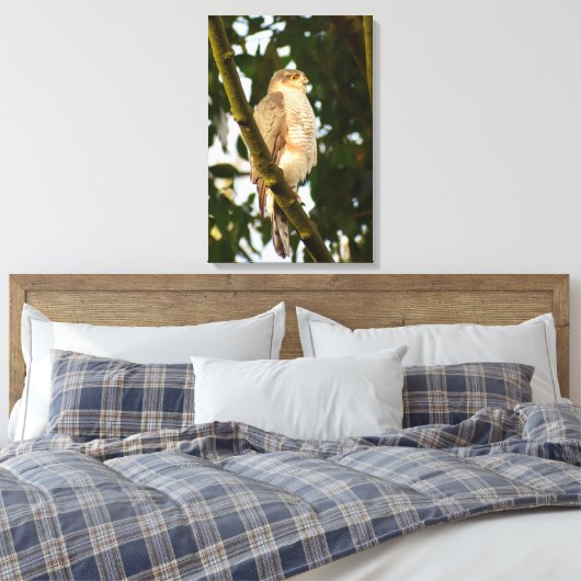 Sperwer canvas afdruk (Insitu (Slaapkamer))