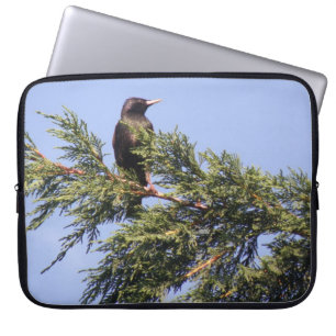 Sperwer in een Sparrenboom Laptop Tas