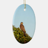 Sperwer Keramisch Ornament (Rechts)