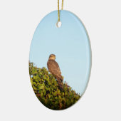 Sperwer Keramisch Ornament (Links)