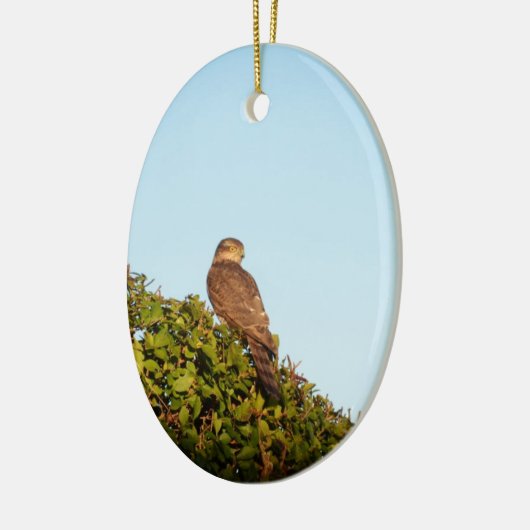 Sperwer Keramisch Ornament (Links)